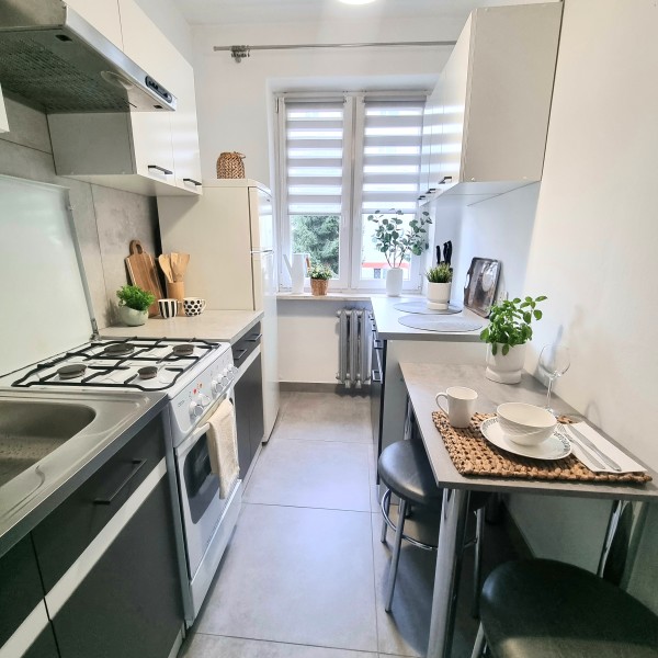 Do wynajęcia mieszkanie w centrum Rzeszowa