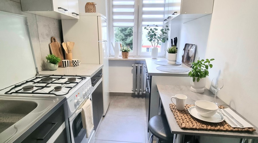 Do wynajęcia mieszkanie w centrum Rzeszowa