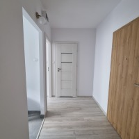 Do wynajęcia mieszkanie w centrum Rzeszowa