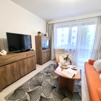 Do wynajęcia mieszkanie w centrum Rzeszowa